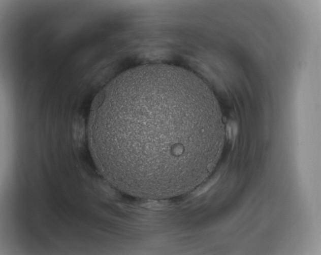 X0000113961251200910021519