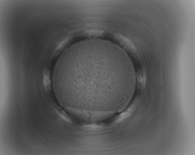 X0000113961252200910021519