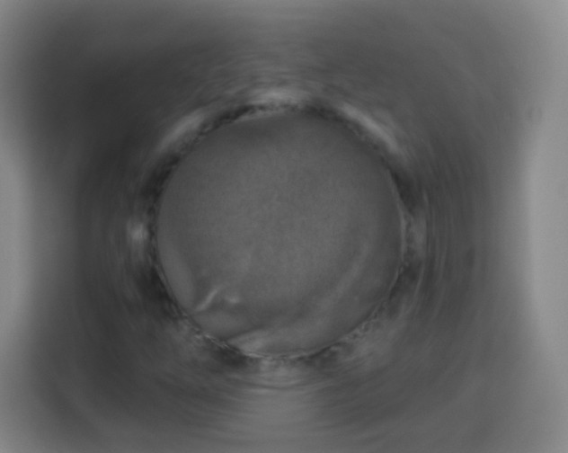 X0000113961254200910021519