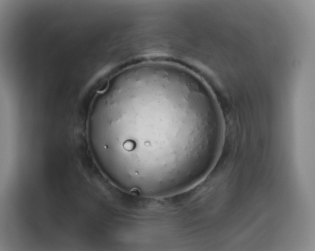 X0000113961255200910021519