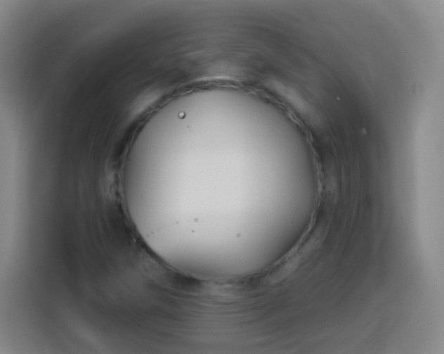 X0000113961258200910021519