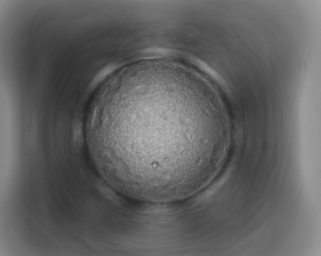 X0000113961259200910021519