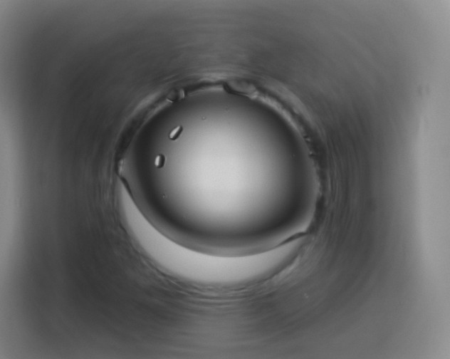 X0000113961261200910021519