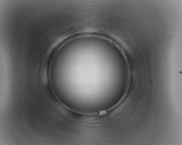 X0000113961262200910021518