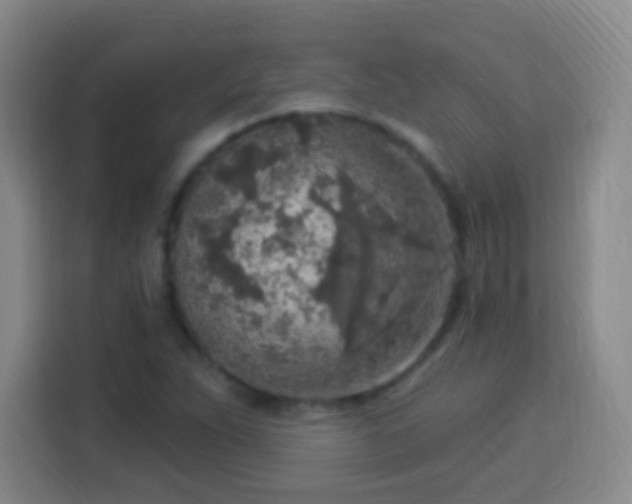 X0000113961263200910021518