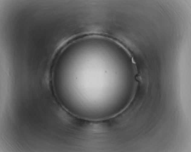 X0000113961264200910021518