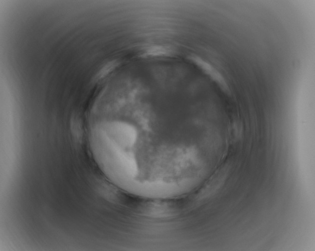 X0000113961266200910021518