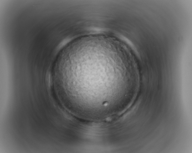 X0000113961267200910021518