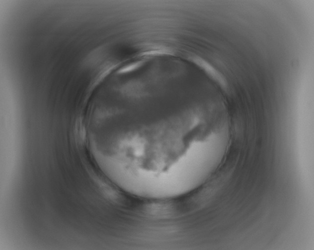 X0000113961274200910021518