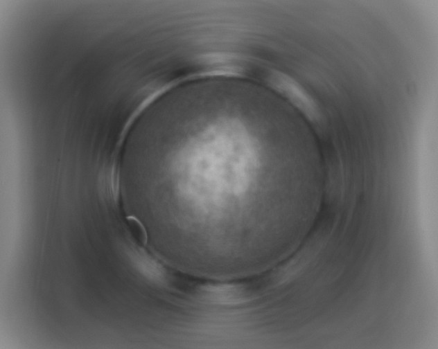 X0000113961276200910021518