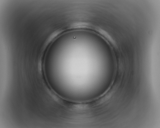 X0000113961277200910021518