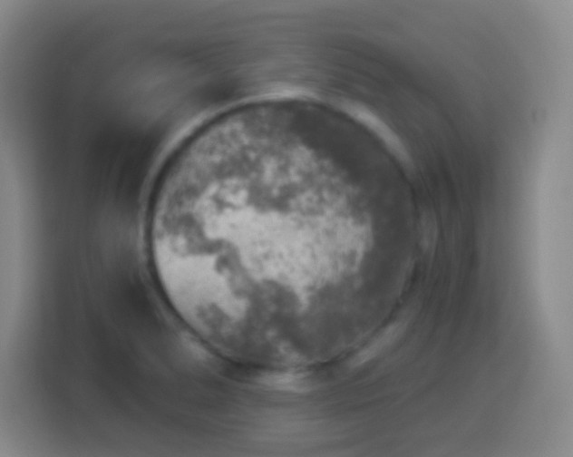 X0000113961278200910021518