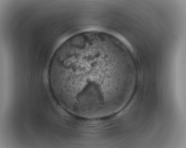 X0000113961279200910021518