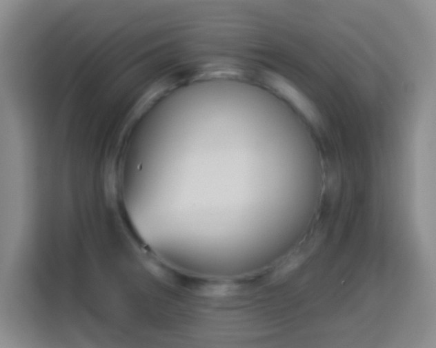 X0000113961282200910021518