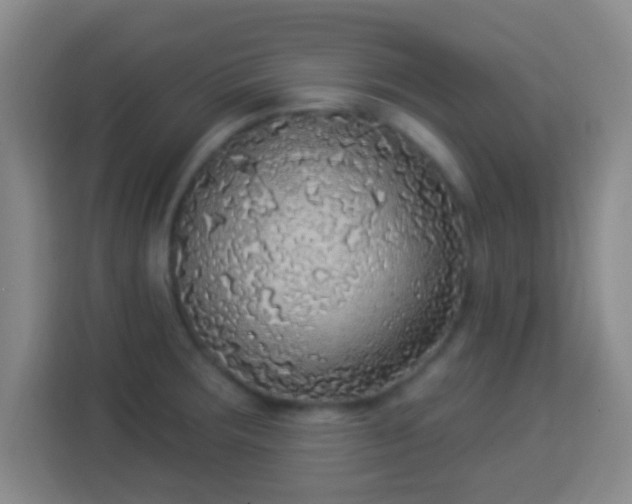 X0000113961283200910021518