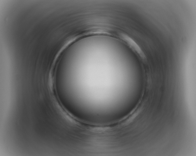 X0000113961284200910021518