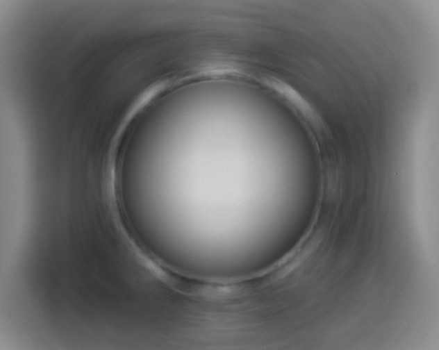 X0000113961286200910021518