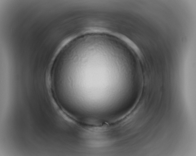 X0000113961287200910021518