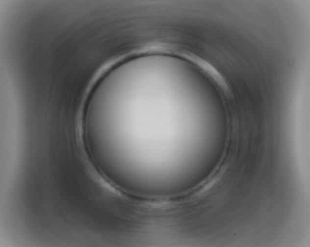 X0000113961288200910021518