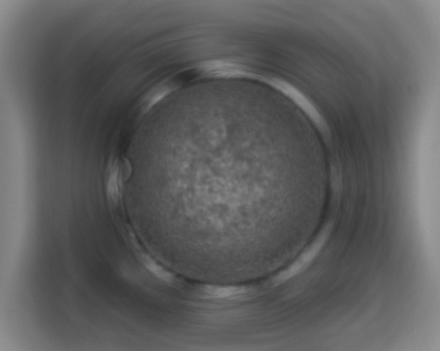 X0000113961289200910021518