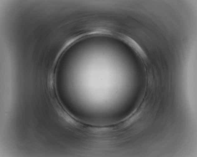 X0000113961292200910021518