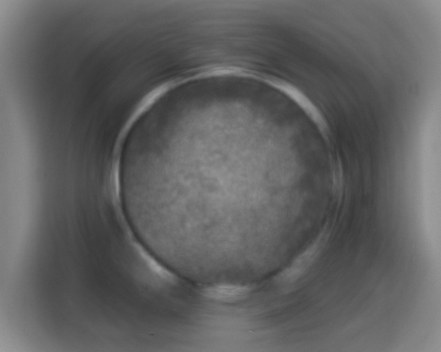 X0000113961294200910021518