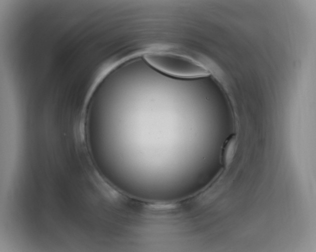 X0000113961296200910021518