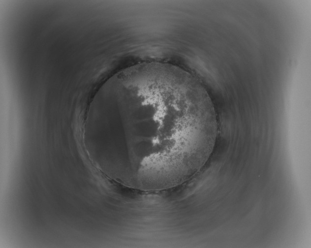 X0000113961297200910021517