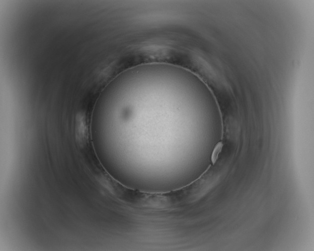 X0000113961298200910021517