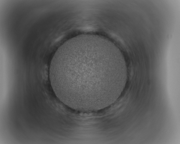 X0000113961301200910021517