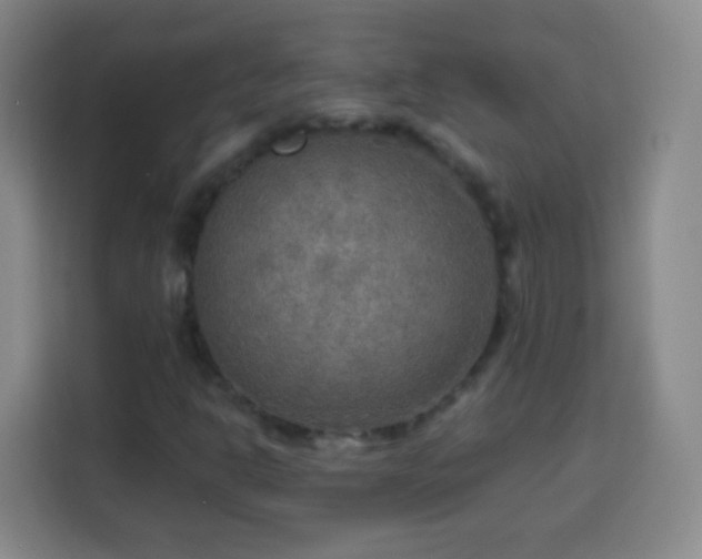 X0000113961302200910021517