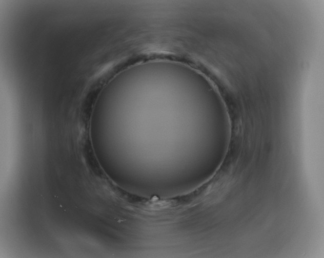 X0000113961303200910021518