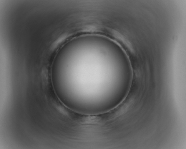 X0000113961304200910021518