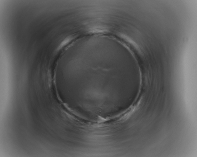 X0000113961306200910021518