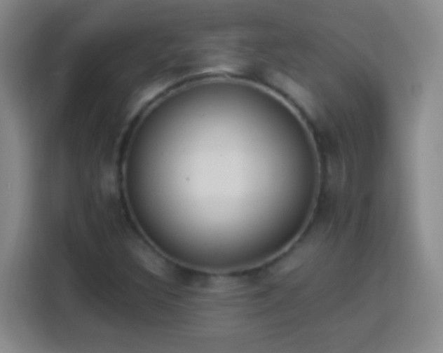 X0000113961308200910021518