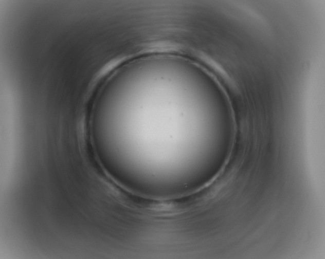 X0000113961315200910021518