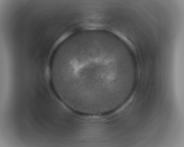 X0000113961317200910021518