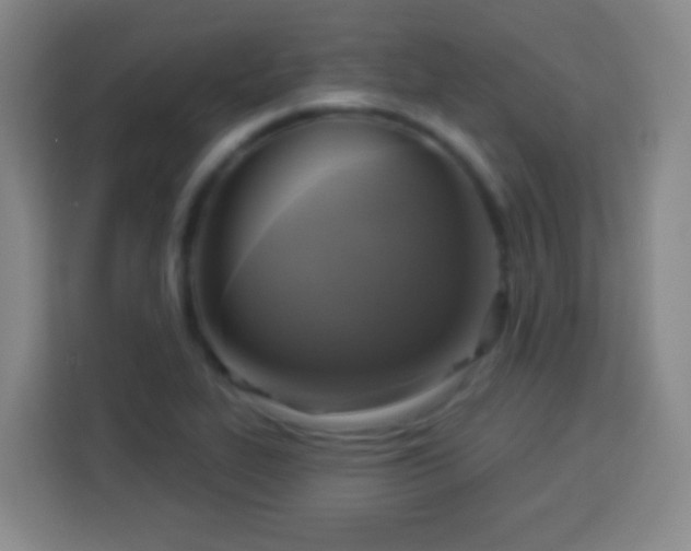 X0000113961319200910021518