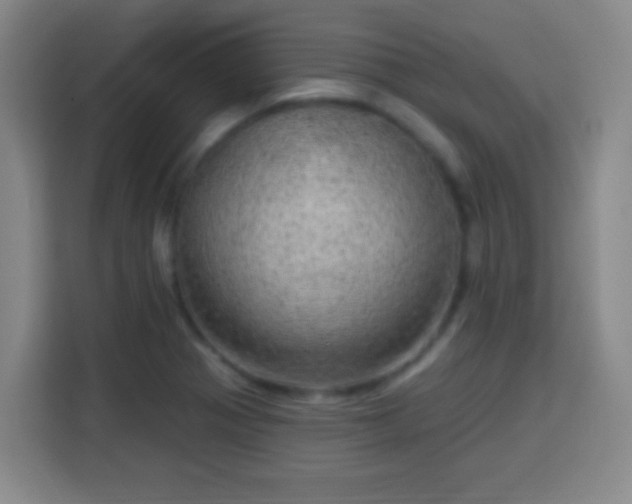 X0000113961321200910021518