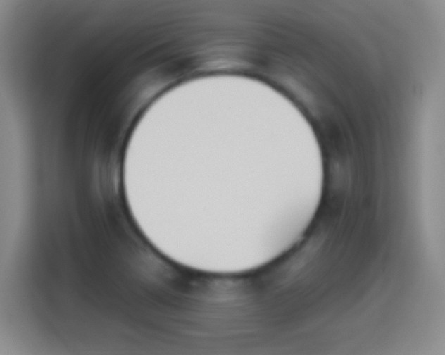 X0000113961322200910021518