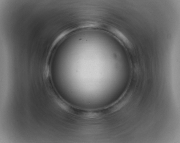 X0000113961324200910021518