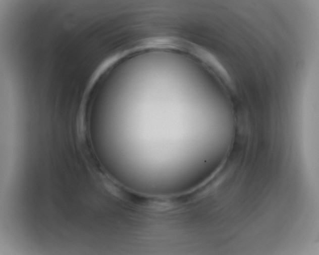 X0000113961328200910021518