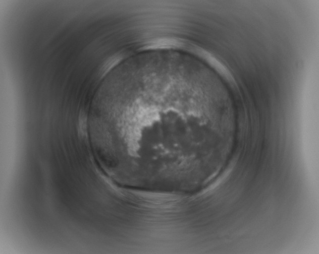 X0000113961329200910021518