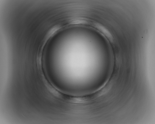 X0000113961330200910021518