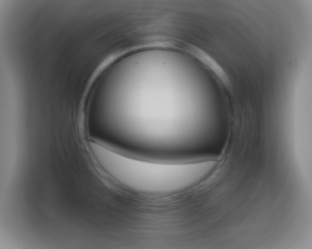 X0000113961332200910021518