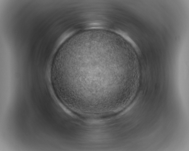 X0000113961333200910021518