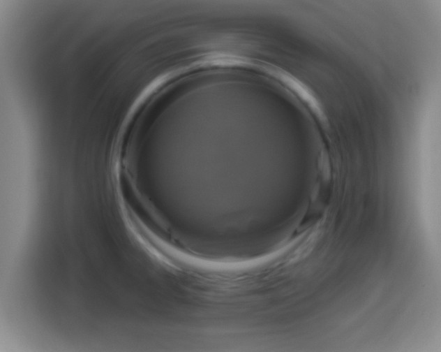 X0000113961334200910021518