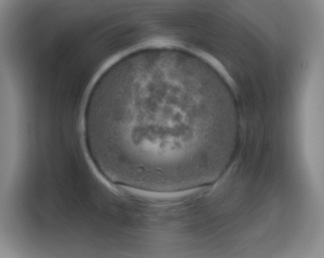 X0000113961335200910021518