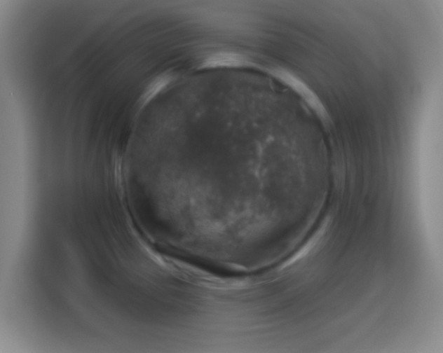 X0000113961337200910021518