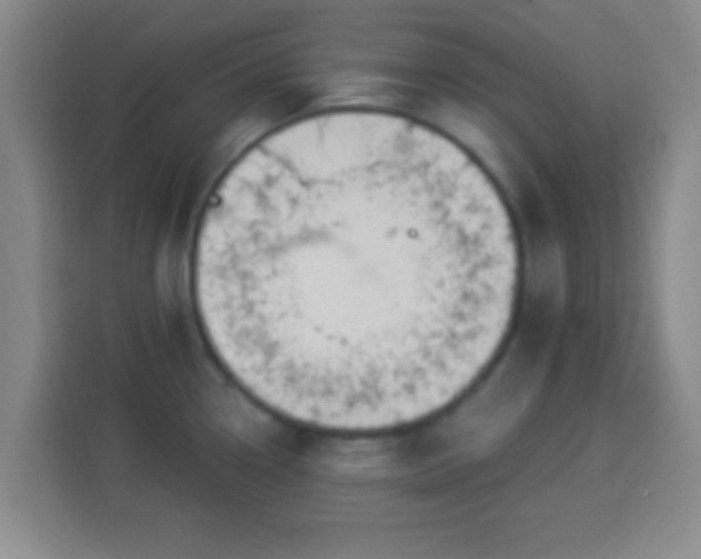 X0000113961338200910021518